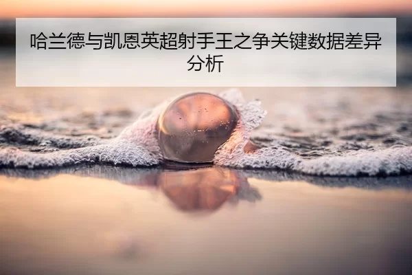 ha-lan-de-yu-kai-en-ying-chao-she-shou-wang-zhi-zheng-guan-jian-shu-ju-cha-yi-fen-xi-2-132.jpg